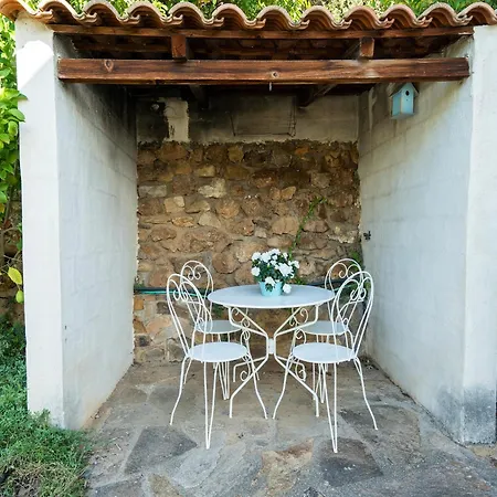 Cosy In With Private Pool Montouliers